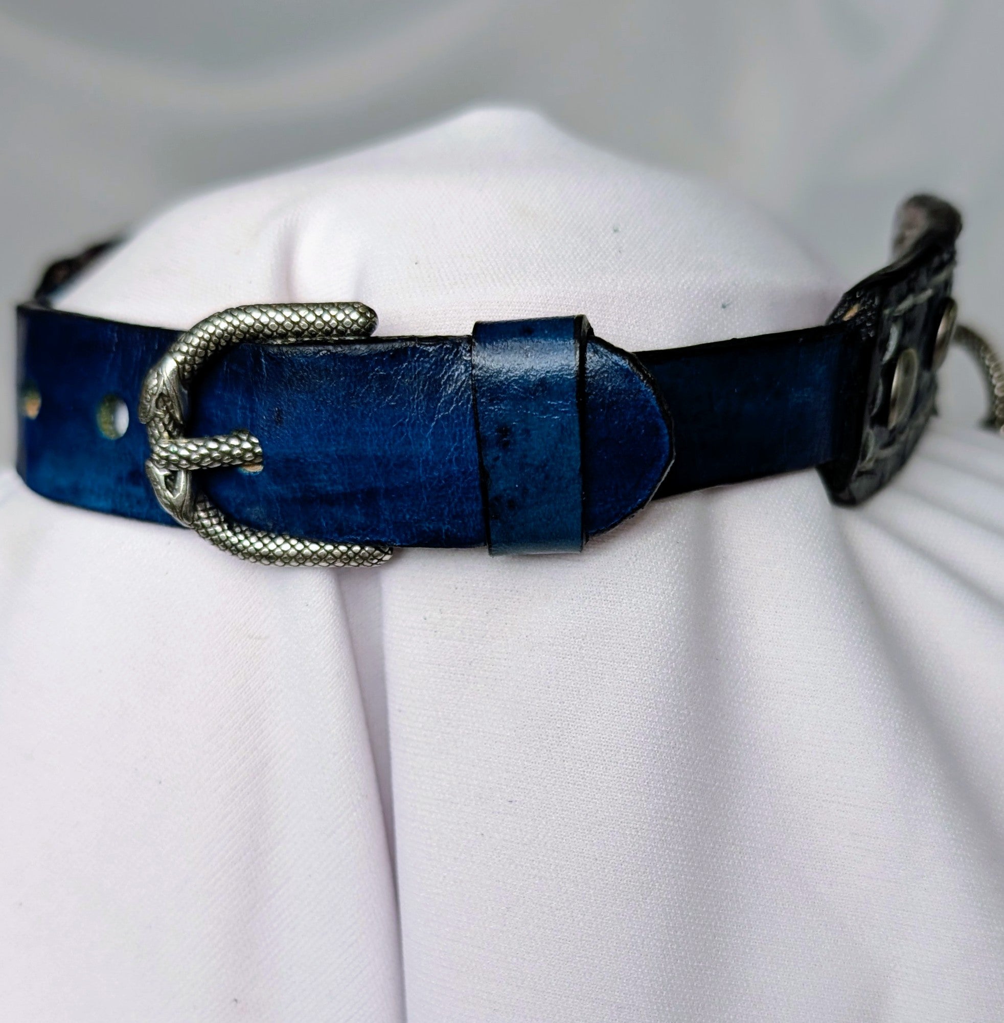 Blue and purple leather buckled working collar with infinity snake hardware