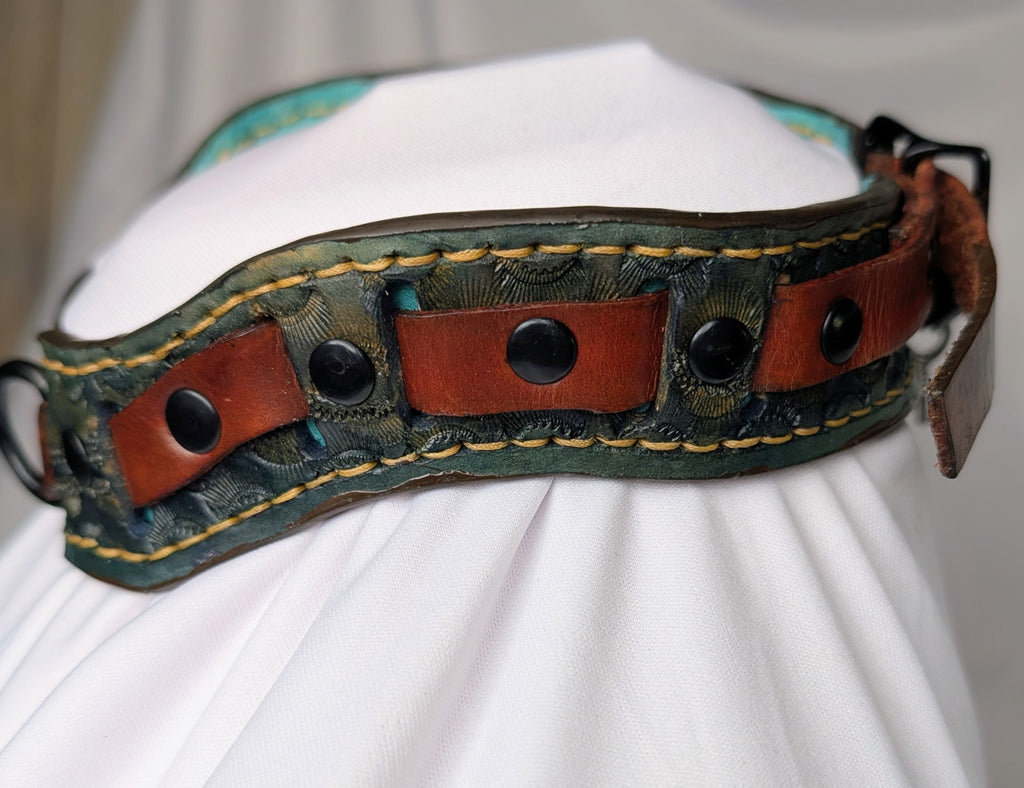 Custom buckled collar, ergonomic cut