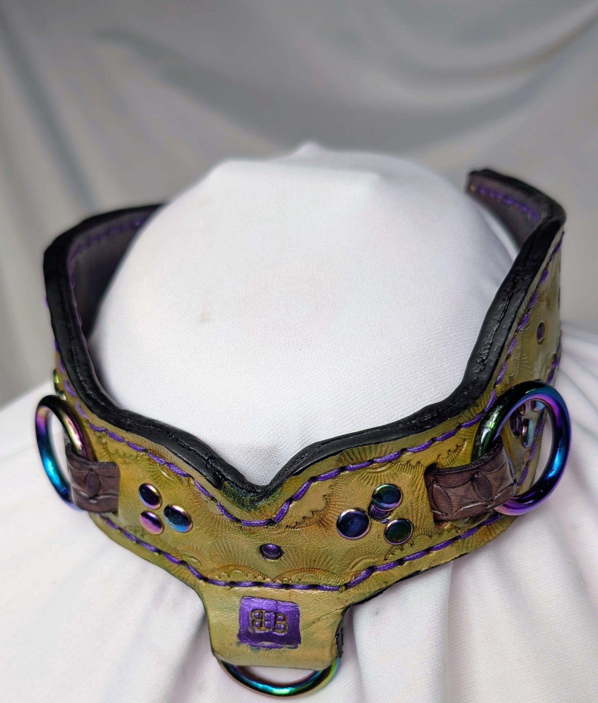 Buckled working collar, green w/ purple accents, rainbow hardware
