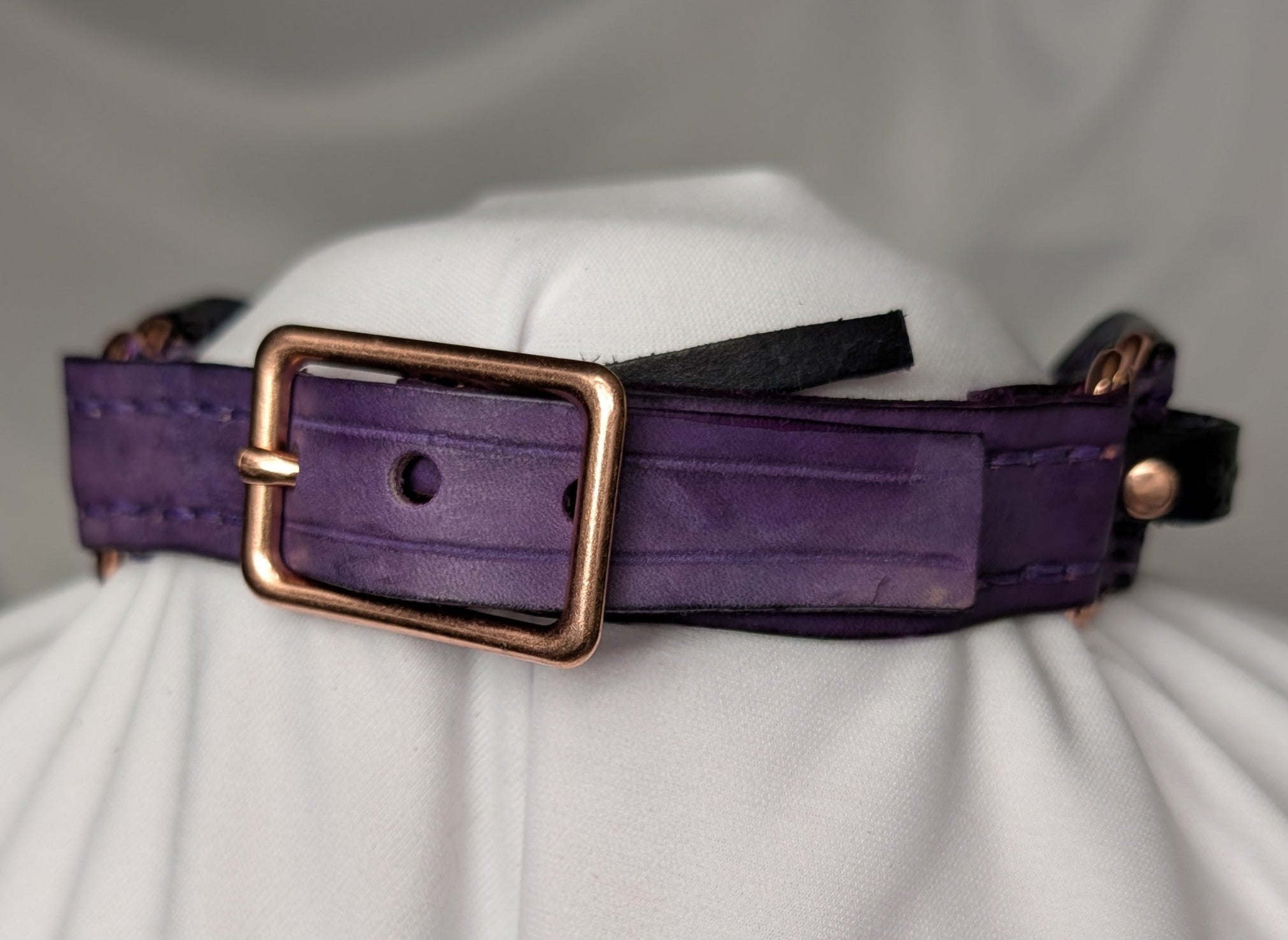 Working collar, buckled with removable riveted day collar