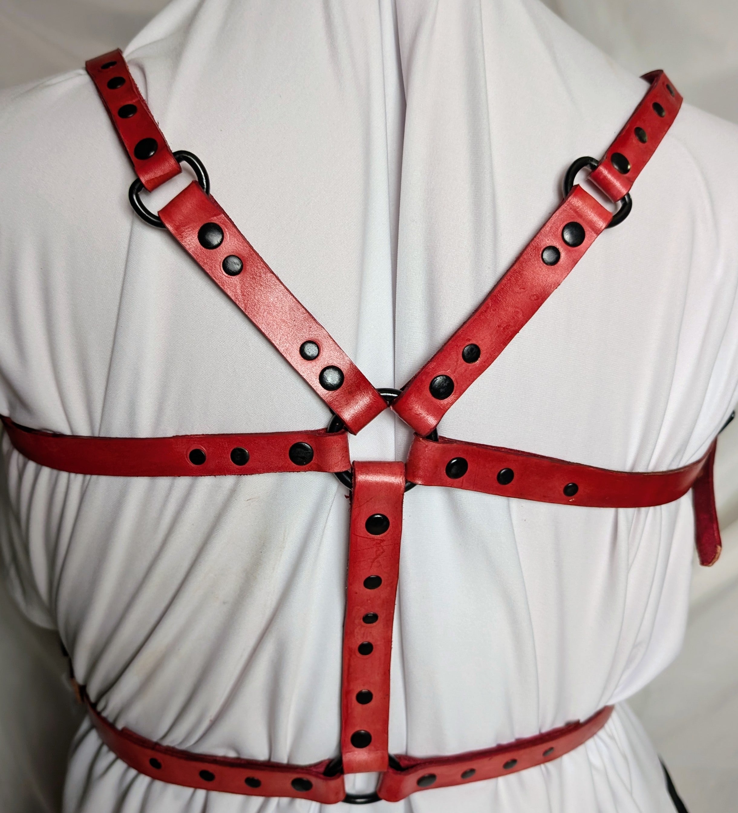 Leather Upper Harness - Red