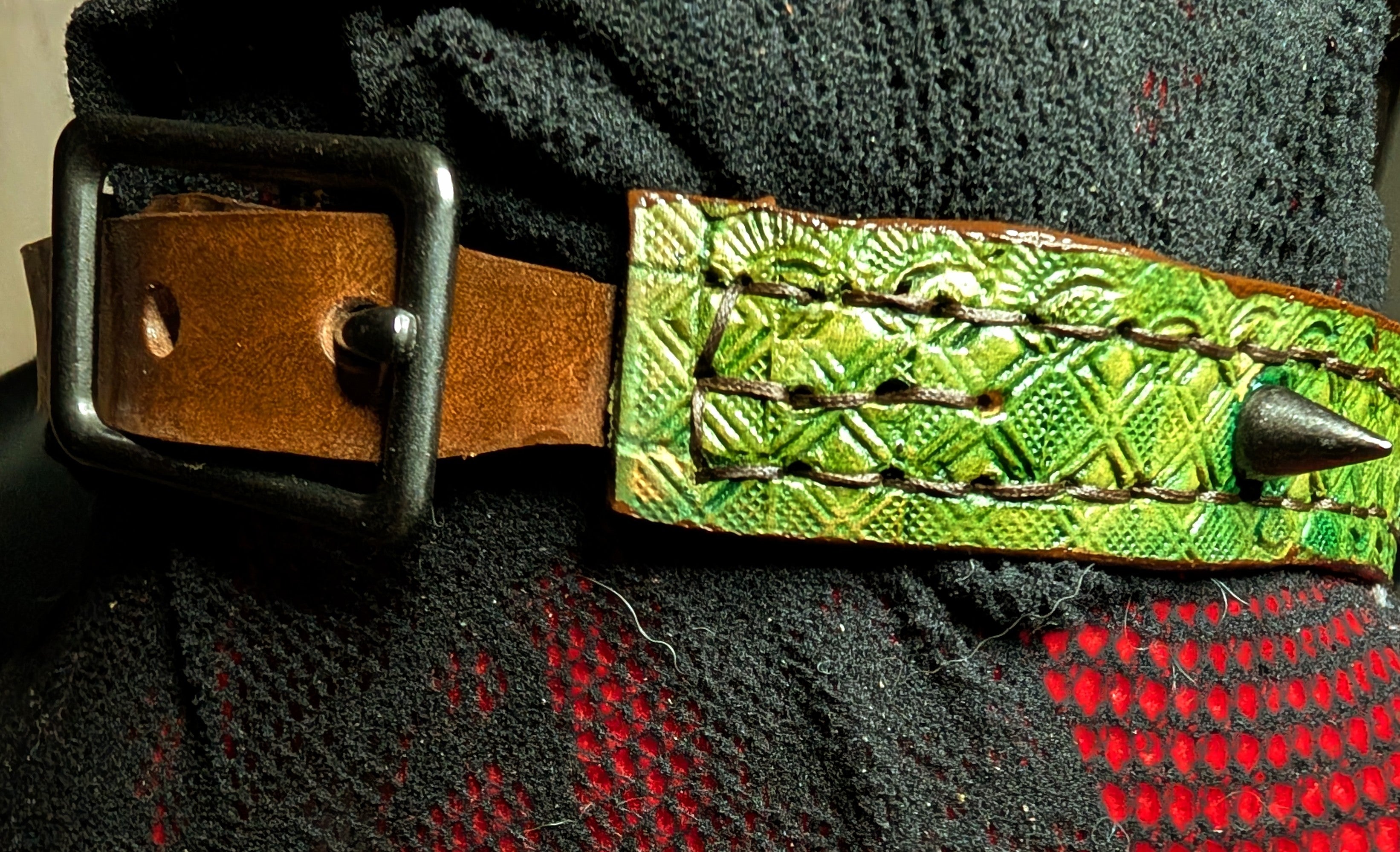 Slim buckled leather collar with spikes. Green with brown