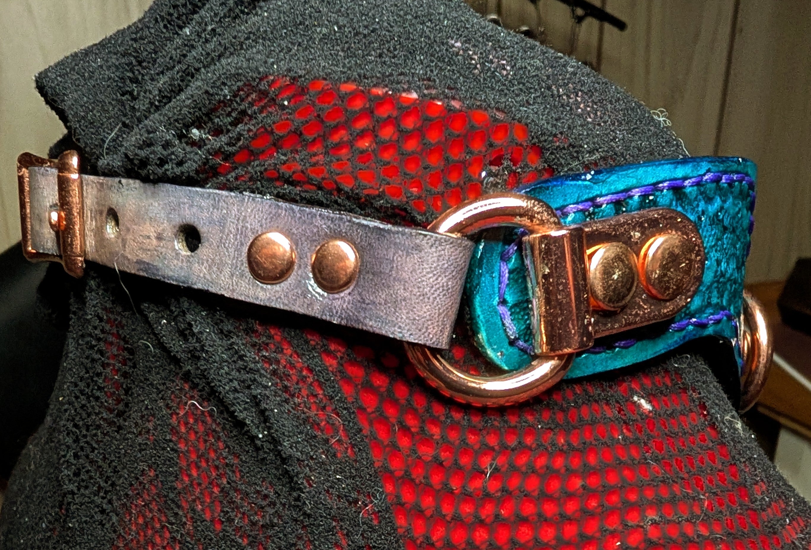 Blue & violet buckled bobdage collar